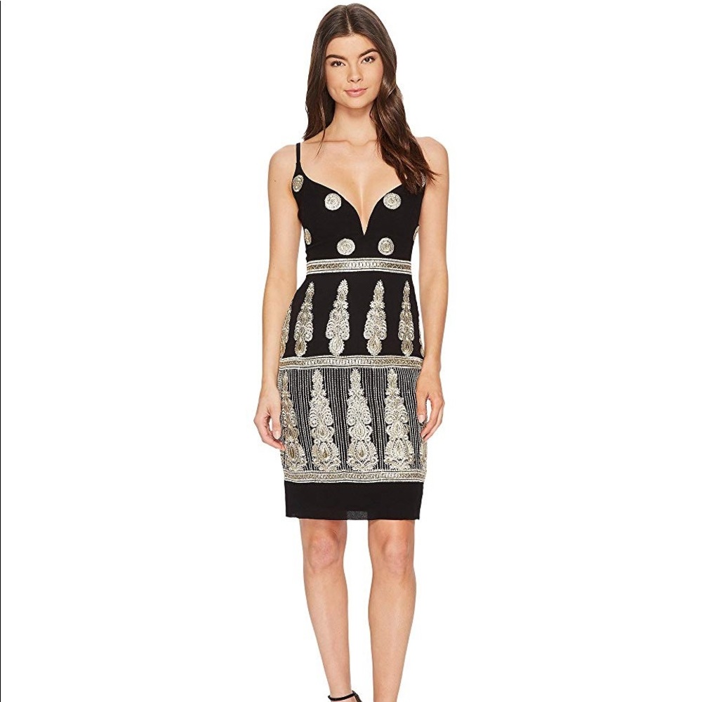 Nicole Miller Enchanted Embroidered Mini Dress